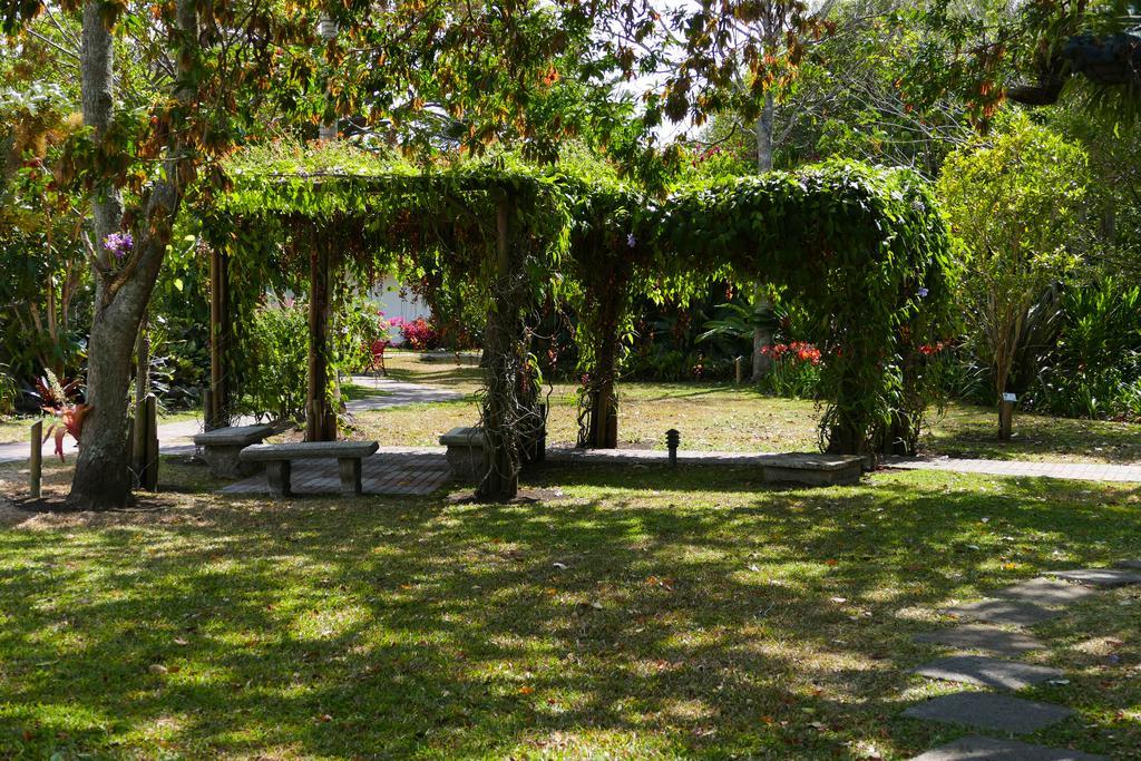 Hotel Bougainvillea San Jose Santo Domingo De Heredia Eksteriør billede