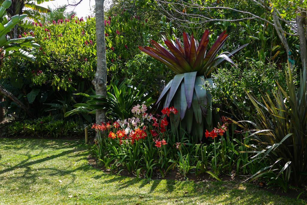 Hotel Bougainvillea San Jose Santo Domingo De Heredia Eksteriør billede